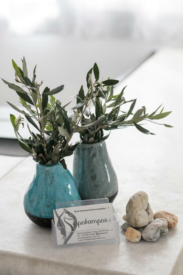 Ippokampos Town Apartments Naxos City ภายนอก รูปภาพ